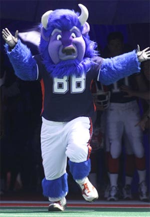Buffalo Bills Mascot - Billy the Buffalo